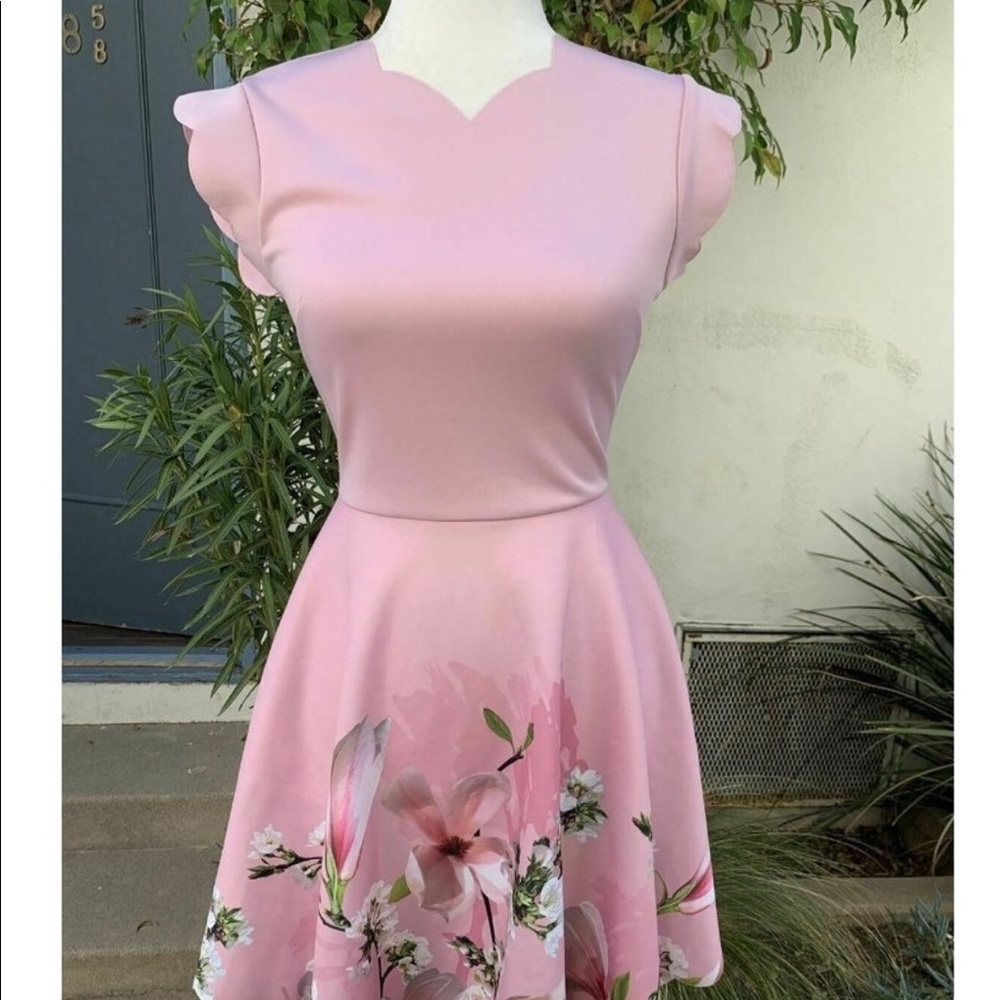 Ted Baker  Pink Floral Midi Dress  Size 0